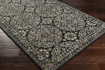 Rogla Transitional Black Area Rug